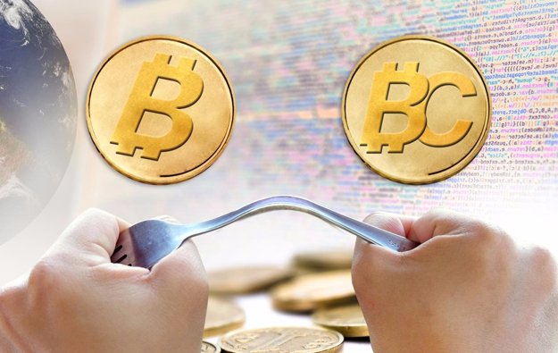  Bitcoin  Bitcoin Cash      